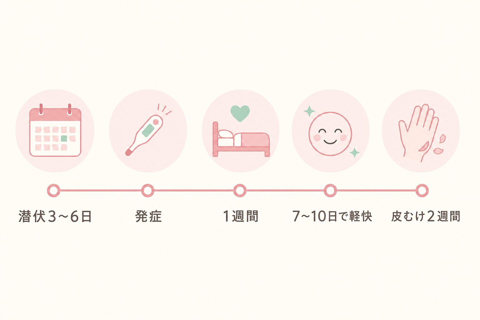 大人の手足口病の経過タイムライン。潜伏3〜6日、発症、1週間、7〜10日で軽快、皮むけ2週間の目安