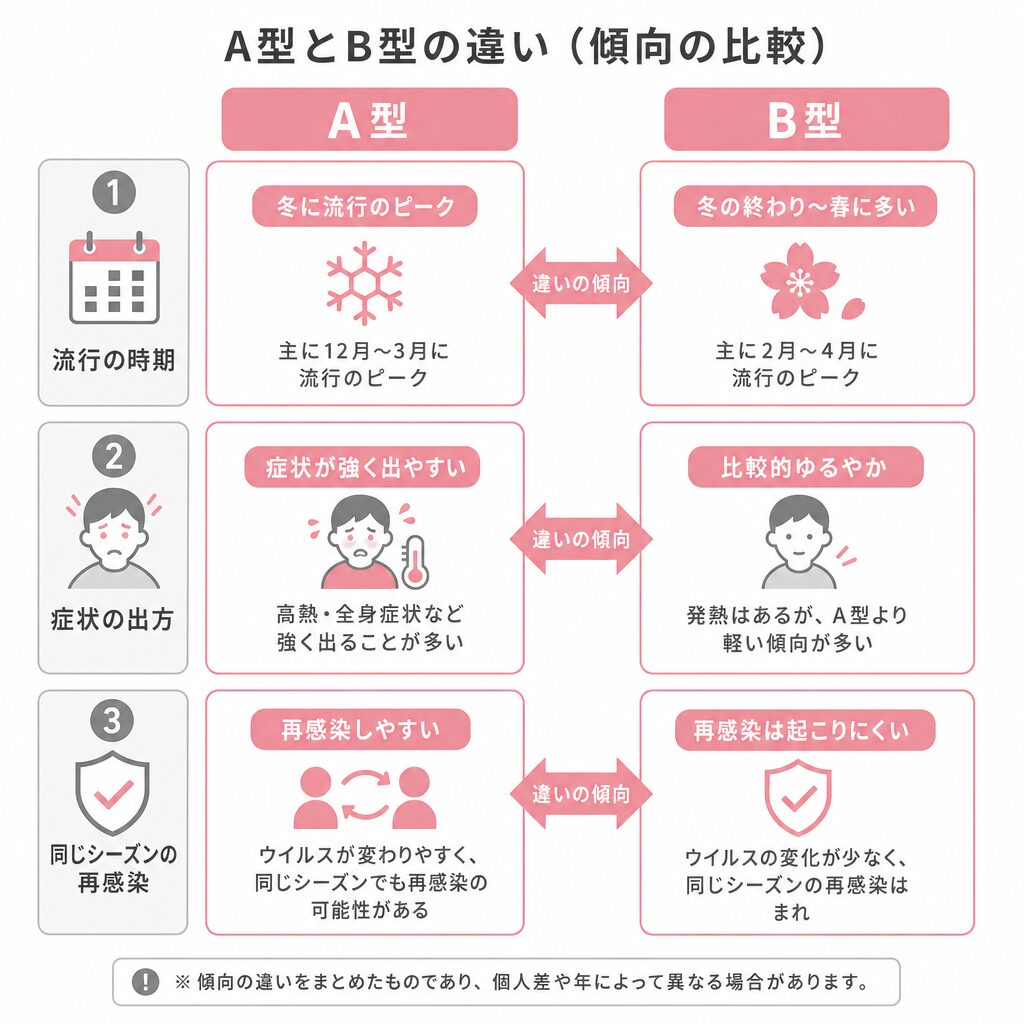 インフルエンザA型とB型の違いを流行時期・症状・再感染で比較した図