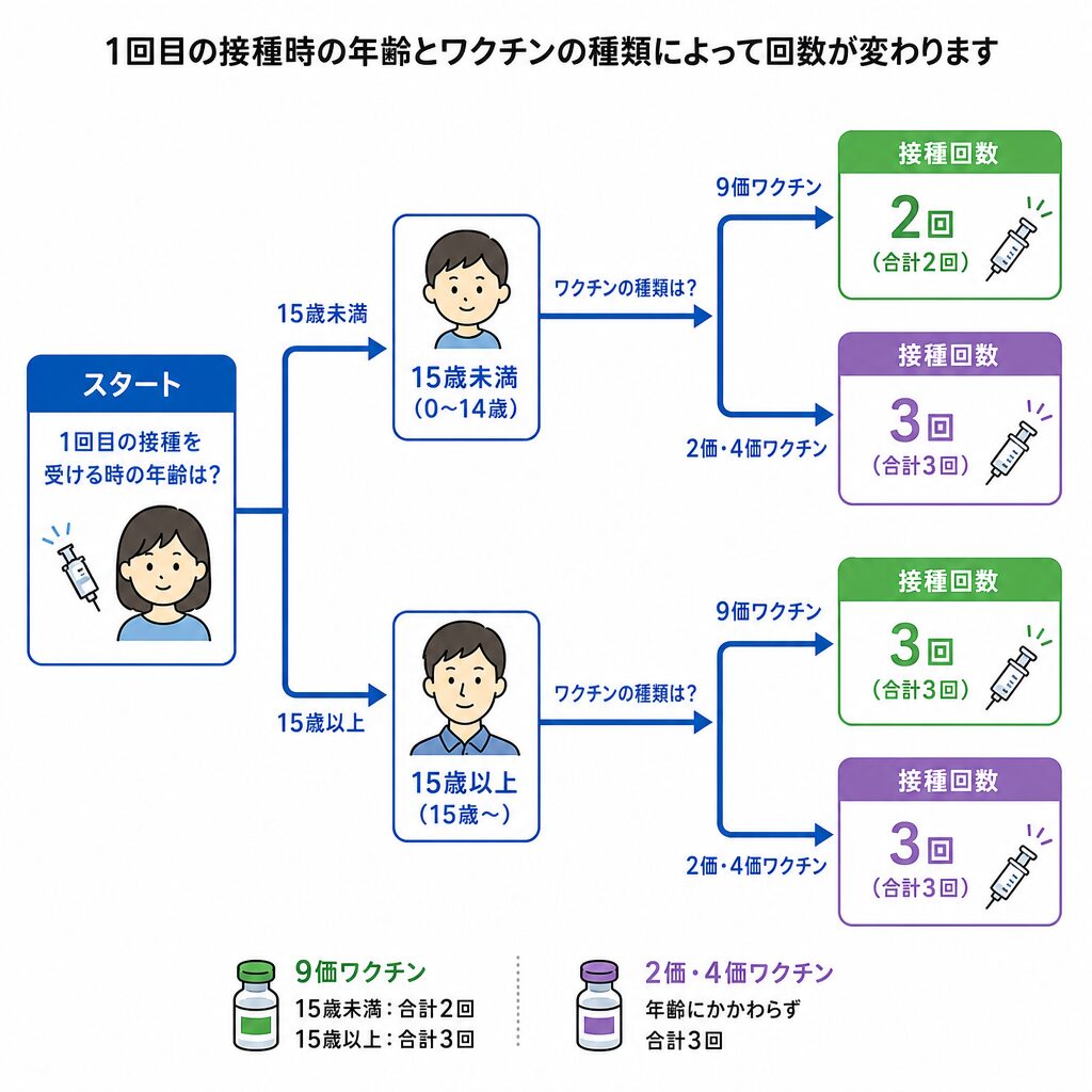 子宮頸がんワクチンの接種回数が年齢と種類で変わることを示した図
